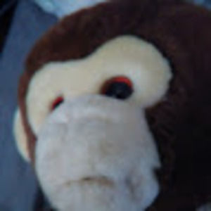 Meet your Posher, Joey